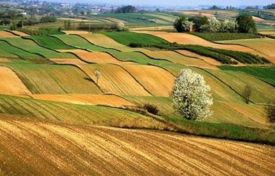 Tarım arazisinde önalım hakkı!