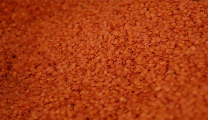 Çiftçiler bu haberi bekliyor! Son dakika mercimek fiyatları kaç lira? İşte 11 Mayıs 2022 fiyat listesi...