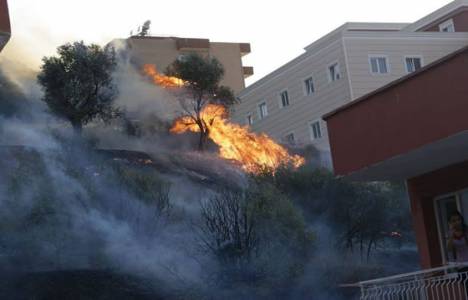 Kuşadası'nda makilik alanda yangın!