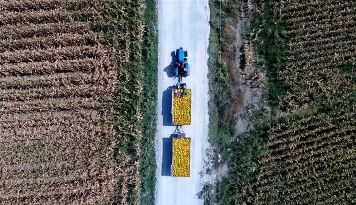 Çiftçilerin mazot gübre destek ödemesi hesaplara yattı mı? 2023 mazot gübre desteği sorgulama ekranı! 