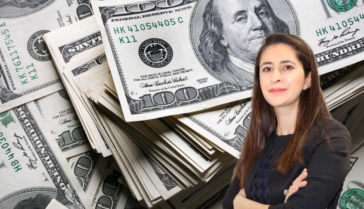 26 TL'de sabit kalmaya çalışan doların geleceği dip ve zirve rakam belli oldu! Uzman Şirin Sarı peş peşe açıkladı