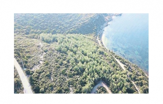 İzmir de orman arazilerini satmaya çalışan çete çökertildi!