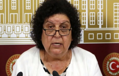 CHP Ankara Milletvekili Şenal Sarıhan