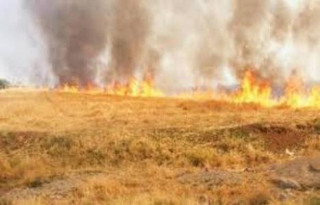 Kırıkkale'de çıkan yangın evlere sıçradı!