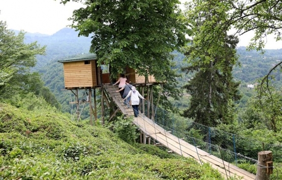 Artvin Arhavi deki ağaç evlere talepler arttı!