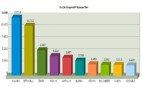 Kooperatif istatistikleri!