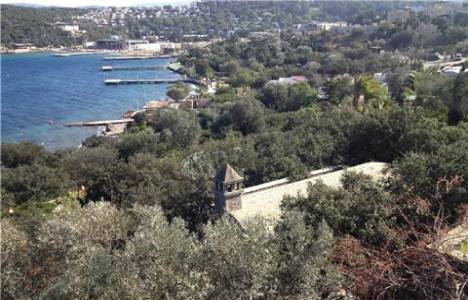 Bodrum Göltürkbükü'ndeki zeytinliğin imar planı değişikliği iptal edildi!