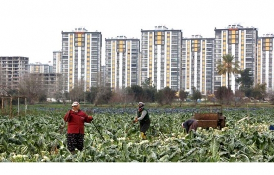 Tarım alanları konutlara ayrıldı! 