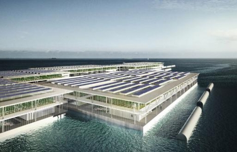 Rotterdam da inşa edilecek Floating Farm dünyada ilk olacak!