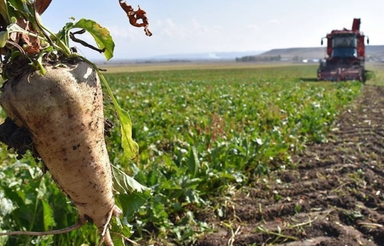 TÜRKŞEKER e ait 6 ildeki 108 bin metrekarelik gayrimenkul 51 milyon TL ye satıldı!