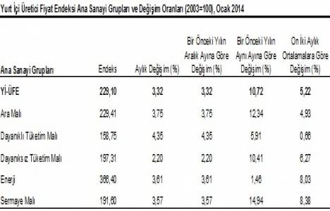 Yurt içi üretici fiyat endeksi Ocak 2014!
