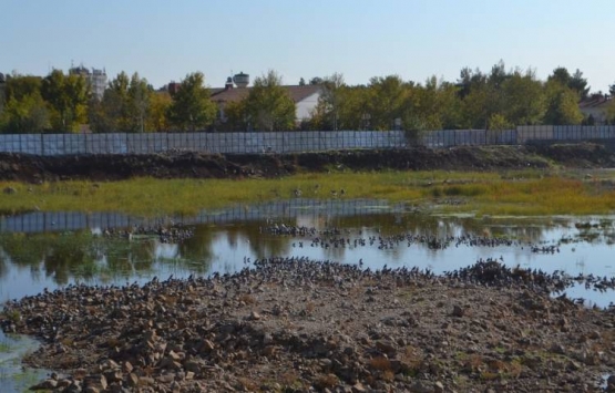 Diyarbakır Millet Bahçesi proje aşamasında!