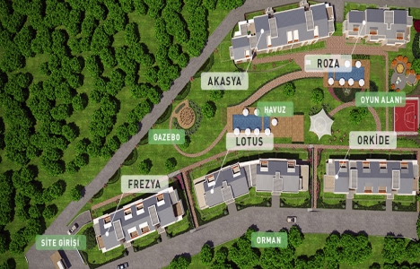 Essa Flora Essa Flora