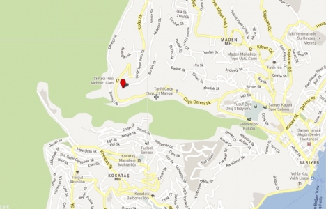 Gravür Park Orman Evleri