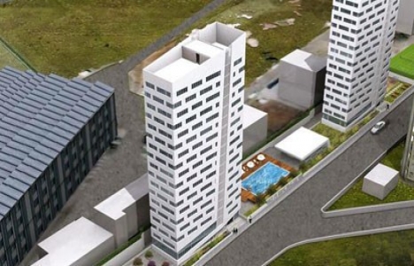 Helenium Twins Helenium Twins