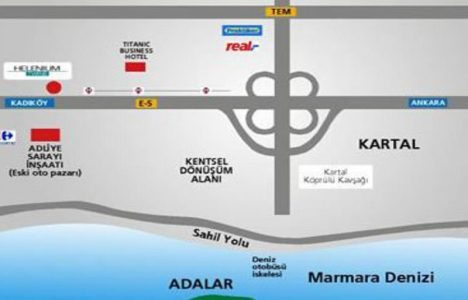 Helenium Twins Helenium Twins