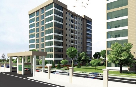 Koru Elvan Koru Elvan