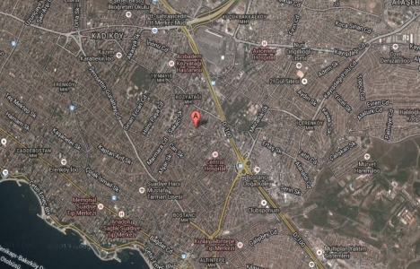 Kozzy Life Kozzy Life