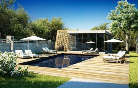 Kozzy Life Kozzy Life