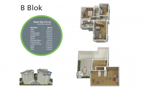 Optimum Dream Optimum Dream