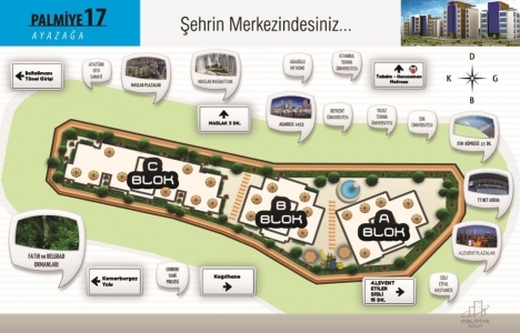 Palmiye 17 Palmiye 17