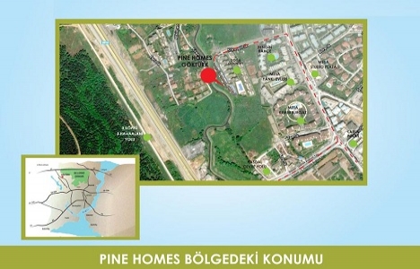 Pine Homes