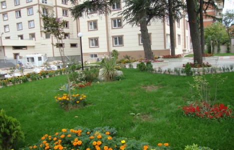 Sakızağacı Koru Evleri