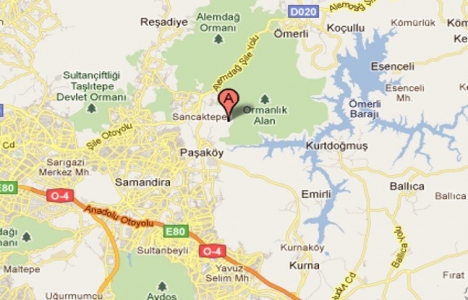 Simplicity Simplicity