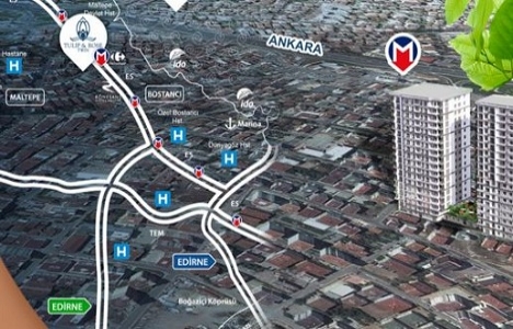 Tulip Rose Twin Tulip Rose Twin