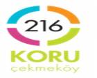 216 Koru