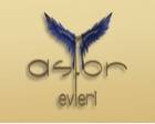 Asfor Evleri