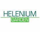 Helenium Garden