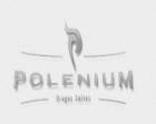 Polenium Dragos Suites