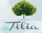 Tilia Evleri 