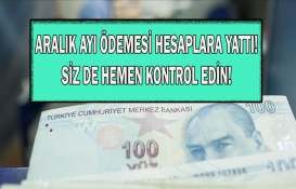 Tamı tamına 366.6 milyon TL hesaplara yattı! Bakan Yanık resmen açıkladı! SED ödemesinde son dakika!