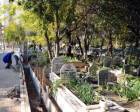  Antalya Belediyesi kent merkezindeki mezarlıkları yeniliyor!