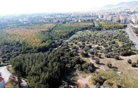 Ege Üniversitesi Millet Bahçesi projesi meclis gündeminde!