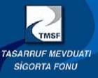 TMSF'den satılık 261 gayrimenkul