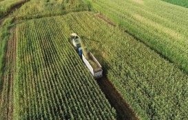 Tarım ÜFE Mayıs'ta arttı: Aylık artış yüzde 2.14, yıllık artış yüzde 50.79 oldu!
