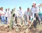 Diyarbakır'a Barış Ormanı kuruluyor!