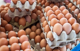 Yumurta fiyatlarında artış hızlı tırmanıyor! Yüzde 50'leri bulan artışta bakın son durum ne?