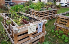 Kentsel tarım geleneksel tarıma alternatif olabilir mi?