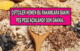 Buğday, arpa, mısır fiyatlarında Tahıl Koridoru depremi! Hangi borsada kaç lira oldu? Çiftçiler hemen bakın! 