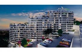 Kavanya Koru nerede?