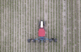 TMO, 10 milyon tonla ürün alım rekoru kırdı! Çiftçilere tam 40,5 milyar TL ödendi! Son dakika! 