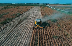 Çiftçiye ek destek müjdesi! Çeltik için 76, buğday için 42, ayçiçek için 37 TL ek destek ödemesi başladı!