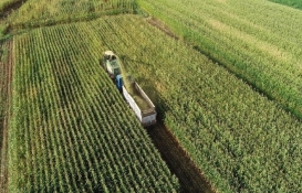 Konkordato ilan eden Rentar Tarım’a 3 ay geçici mühlet kararı!