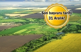 Hazine arazileri 5 yıl taksitle satılıyor!