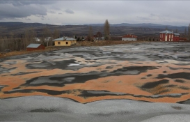 Sivas'ta 6 bin 262 metrekarelik arsa satılıyor! Fiyatını gören inanamadı!