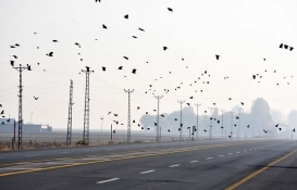 Muş ihale ilanları